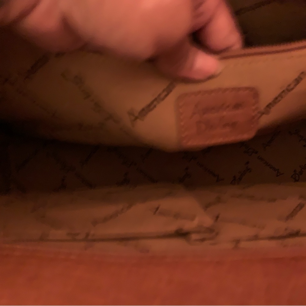 American Darling Tote View 5